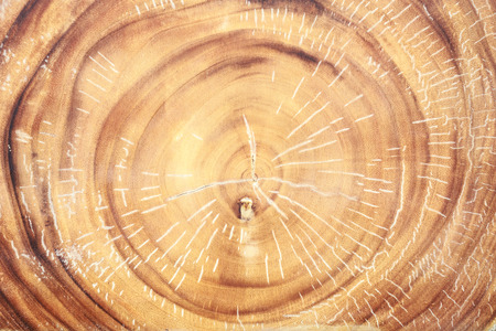 Pattern wooden block texture and background. For interior or exterior decorationの写真素材