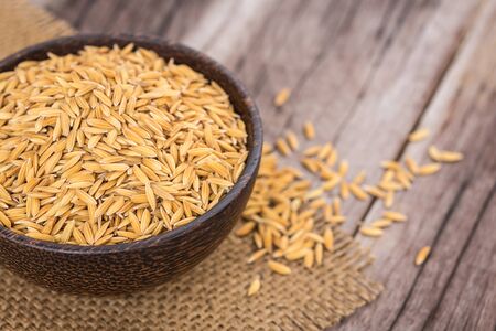 Yellow Thai paddy jasmine rice on wooden plank backgroundの写真素材