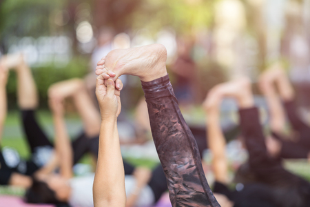 Group of asian woman doing yoga or exercise in the parkの写真素材