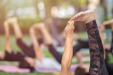 Group of asian woman doing yoga or exercise in the parkの写真素材