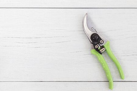 New green secateurs on white wooden background. Top viewの写真素材