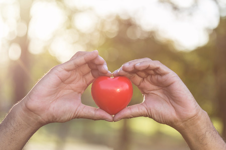 Hand of old man holding red heart in the park with green bokeh backgroundの写真素材