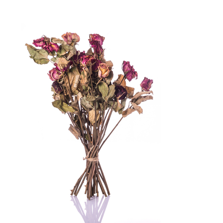 Brown dry rose flower with leaf. Studio shot isolated on white backgroundの写真素材