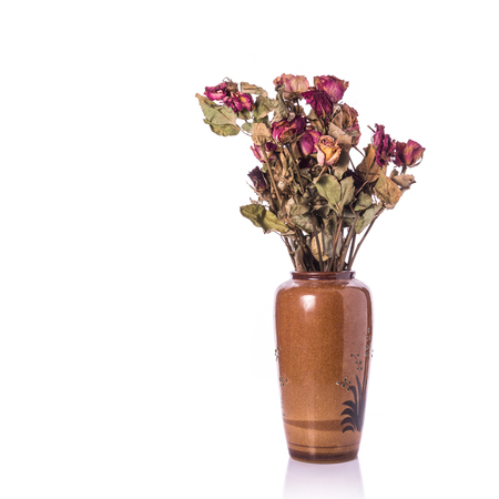 Brown dry rose flower with leaf. Studio shot isolated on white backgroundの写真素材