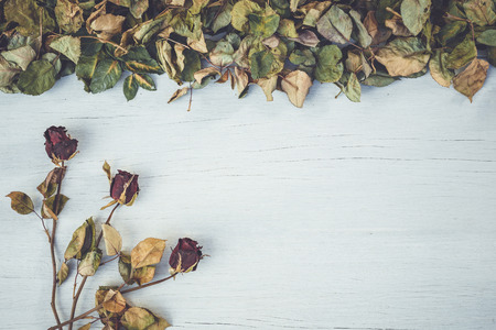 Top view dry rose and leaf on white wooden deck with empty space for design. For love or valentine day conceptの写真素材