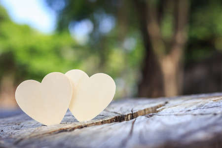 Two bright wooden heart symbol on tree stump. Love tree or save world conceptの写真素材