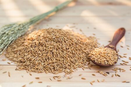 Close up pile of Thai yellow paddy rice on wooden table backgroundの写真素材