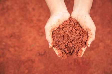 Close up hands of people holding soil to grow young plant. Ecology and growing plant conceptの写真素材