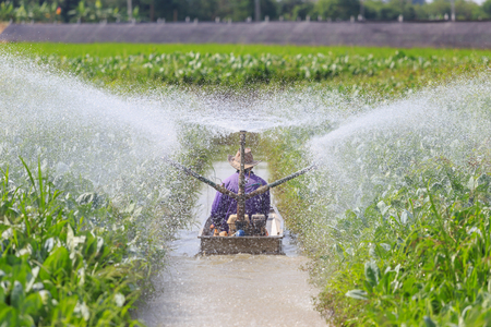 Thai farmer on boat with pump system and spraying water to vegetable farmの写真素材