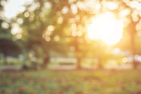 Blurred background : Green abstract of blur nature sunlight with bokeh and lens flare effect for backgroundの写真素材