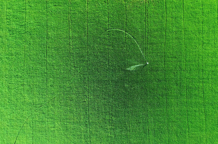 Aerial view from flying drone. Thai farmer spraying chemical to young green rice field. Agriculture conceptの写真素材