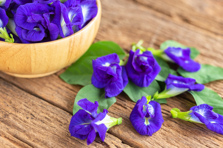 Fresh purple Butterfly pea flower on wooden table backgroundの写真素材