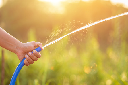 Hand holding blue water hose and watering to the plant in outdoor garden. Gardening conceptの写真素材