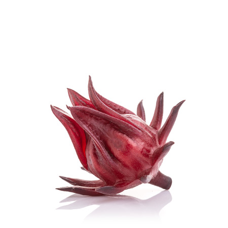 Close up fresh red Roselle studio shot isolated on white backgroundの写真素材