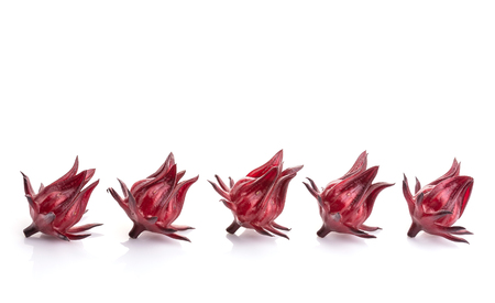 Close up fresh red Roselle studio shot isolated on white backgroundの写真素材