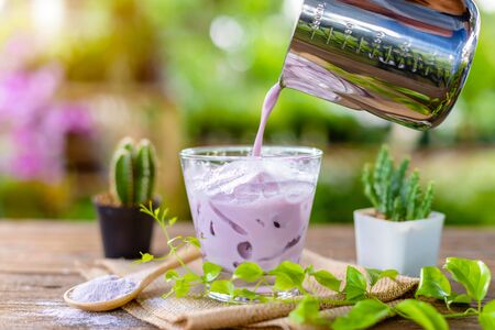 Iced purple Taro milk in clear glass served on wooden table in garden cafe. Ice menu conceptの写真素材
