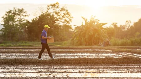 Delivery man holding brown parcel or cardboard boxes and delivery to customer at countryside and view of rice field. Can be delivery to anywhere conceptの写真素材