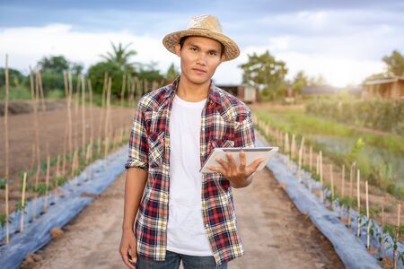 Portrait of young Asian smart farmer holding tablet in his organic farm. Technology and agriculture conceptの写真素材