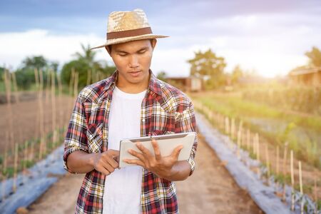 Portrait of young Asian smart farmer holding tablet in his organic farm. Technology and agriculture conceptの写真素材