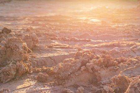 Heap of dry soil and rough mud in construction site. Shoot in sunset time with sunlight and lens...