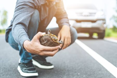 Turtle crossing the road. Driver stop the car and help turtle on the road. Safety and be careful driving conceptの写真素材