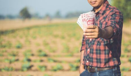 Asian farmer holding Chinese banknote (RMB) in the field of tobacco tree. Leasing or financial for agriculturist conceptの写真素材