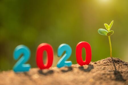 Color number 2020 and green young tree sprout growing in soil in garden blur background. For new year and environment conceptの写真素材