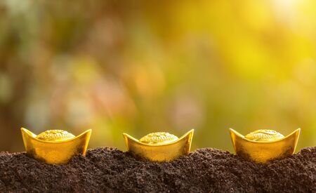 Gold bullion for Chinese new year decoration on top of the soil pile in garden blur background. For Chinese new year conceptの写真素材