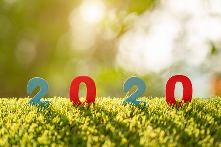Color number 2020 on top of the green grass in garden blur background. For new year conceptの写真素材
