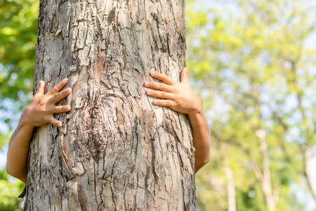 Tree hugging. Asian man giving a hug on big teak tree hug. Love tree and nature or environment...