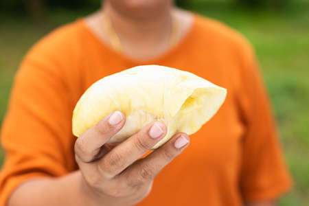 Close up hands woman holding Piece of peel Durian fruit. Food concept