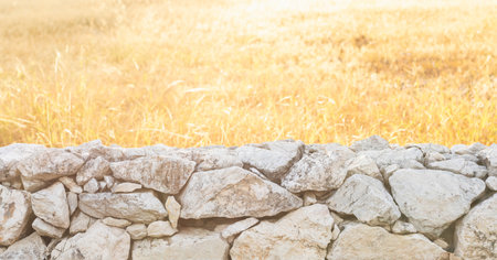 Stack of white stone. Stone fence in the meadow at the morning timeの写真素材