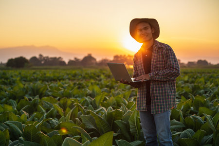 Asian farmer working in the field of tobacco tree and using laptop to find an infomation to take care or checking on tobacco plant after planting. Technology for agriculture Conceptの写真素材