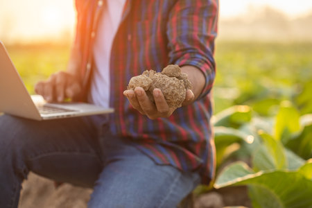 Asian farmer working in the young tobacco field. Man holding dry soil in corn field to testing, examining quality and minerals of soil. Smart farming Technology for agriculture Concept.の写真素材
