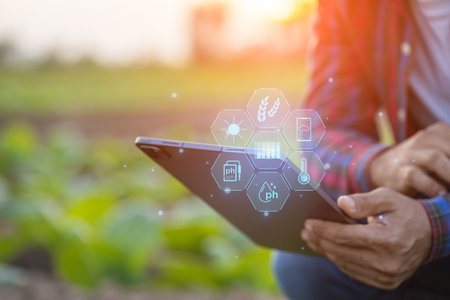 Asian farmer working in the tobacco field. Man is examining and using digital tablet to management,...