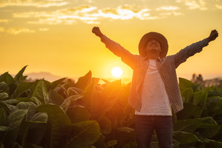 Happy farmer. Asian farmer working in the field of tobacco tree, spread arms and raising his success fist happily with feeling very good while working. Happiness for agriculture business concept.の写真素材