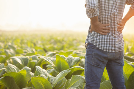 Injuries or Illnesses, that can happen to farmers while working. Man is using his hand to cover over waist because of hurt,  pain or feeling ill. Health of agriculturist concept.の写真素材