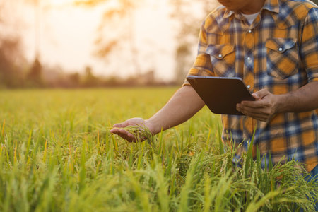 Farmers use tablet computers to check their fields. They are used for planning, care and...