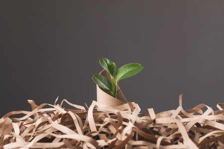 Save world and concept for plant the tree, Young green tree pops out of brown cardboard on pile of scrap paper with dark background, Can use for reuse, recycle and environment concept. Studio shot.の写真素材