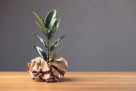 Save world, Save tree and concept for plant the tree, Young green tree pops out of brown cardboard on wooden desk and dark background, Can use for reuse, recycle and environment concept. Studio shot.の写真素材