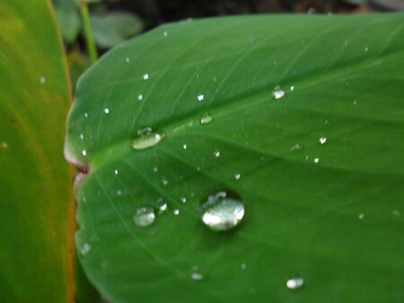 Waterの写真素材