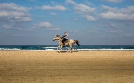 At the beachの写真素材