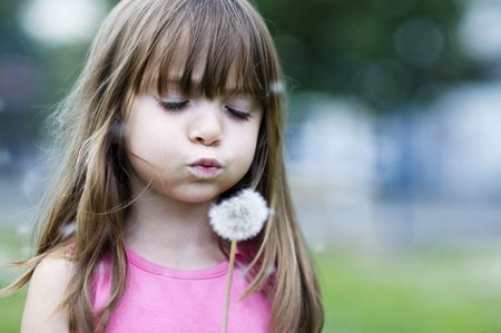 Little girl blowing a wild flowerの写真素材