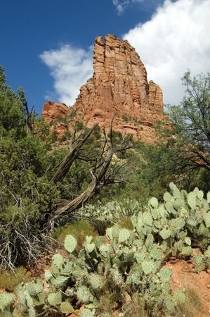 Red rock mountain in Sedona,AZの写真素材