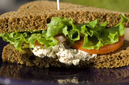 Brown bread picnic sandwichの写真素材