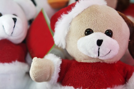Santa cute cuddly bearsの写真素材