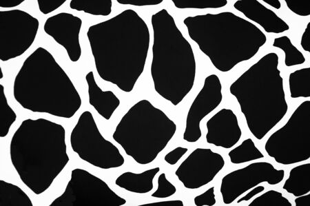 Zebra pattern backgroundの写真素材