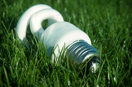 Energy saving light bulb on green grass