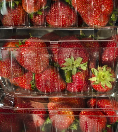 Strawberries in clear plastic containerの写真素材