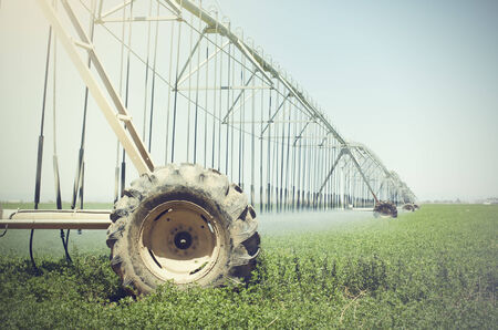 Farm s crop being watered by sprinkler irrigation system